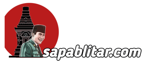 sapablitar.com